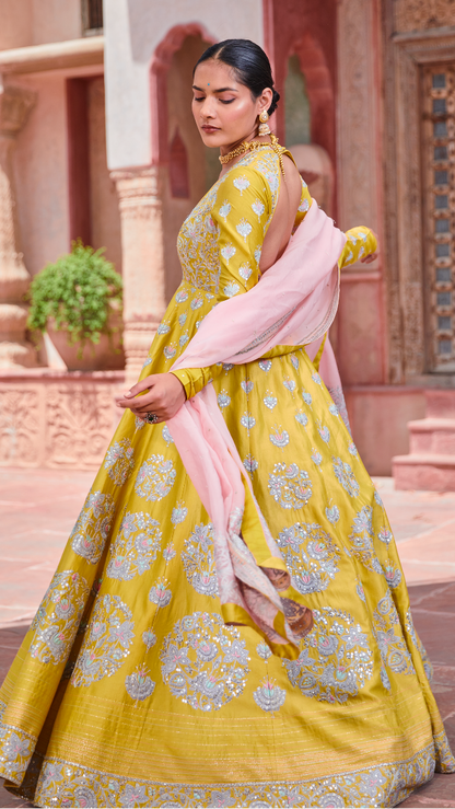 Sunhela Anarkali